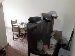 https://img.olx.com.br/thumbs256x256/31/312529878972050.jpg