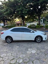 https://img.olx.com.br/thumbs256x256/31/312544287029871.jpg