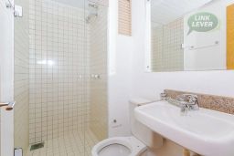 https://img.olx.com.br/thumbs256x256/31/312555284564772.jpg