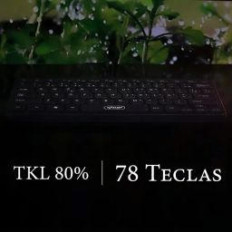 https://img.olx.com.br/thumbs256x256/31/312590519311870.jpg