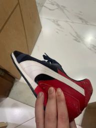 https://img.olx.com.br/thumbs256x256/31/313434698291422.jpg