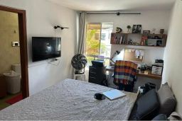 https://img.olx.com.br/thumbs256x256/31/313509649823564.jpg
