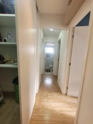 https://img.olx.com.br/thumbs256x256/31/313531645861450.jpg