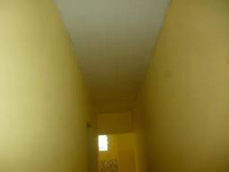 https://img.olx.com.br/thumbs256x256/31/313566142662297.jpg