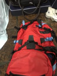 https://img.olx.com.br/thumbs256x256/31/314408582275588.jpg