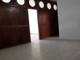 https://img.olx.com.br/thumbs256x256/31/314502745101353.jpg