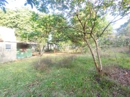 https://img.olx.com.br/thumbs256x256/31/314511165476181.jpg