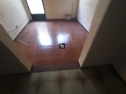 https://img.olx.com.br/thumbs256x256/31/314544262277036.jpg