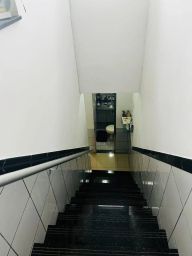 https://img.olx.com.br/thumbs256x256/31/314558640789186.jpg