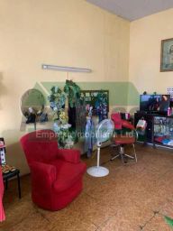 https://img.olx.com.br/thumbs256x256/31/314658682123280.jpg