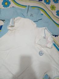 https://img.olx.com.br/thumbs256x256/31/315470212762250.jpg
