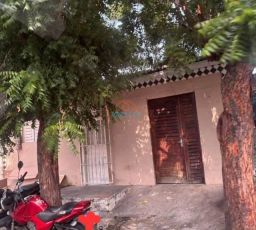 https://img.olx.com.br/thumbs256x256/31/315676794016214.jpg