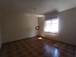 https://img.olx.com.br/thumbs256x256/31/316521389085114.jpg