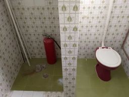 https://img.olx.com.br/thumbs256x256/31/316539623387643.jpg