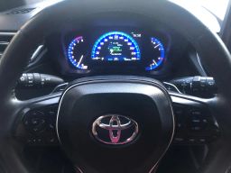 https://img.olx.com.br/thumbs256x256/31/316552405684991.jpg