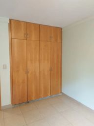 https://img.olx.com.br/thumbs256x256/31/316555380967960.jpg