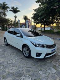 https://img.olx.com.br/thumbs256x256/31/316555520209938.jpg