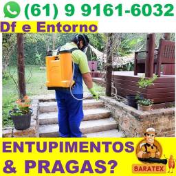 Título do anúncio: Dedetização Dedetizadora em Guará Df e entorno f-u%8