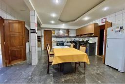 https://img.olx.com.br/thumbs256x256/31/317506647653542.jpg