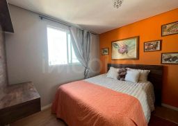 https://img.olx.com.br/thumbs256x256/31/317586766677549.jpg