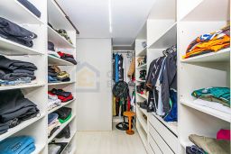 https://img.olx.com.br/thumbs256x256/31/317675560458328.jpg