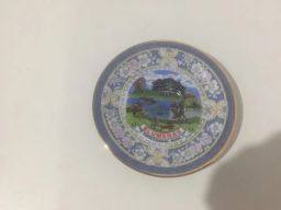 https://img.olx.com.br/thumbs256x256/31/318430806301931.jpg