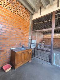 https://img.olx.com.br/thumbs256x256/31/318544030824425.jpg
