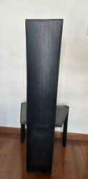 https://img.olx.com.br/thumbs256x256/31/318571168169749.jpg