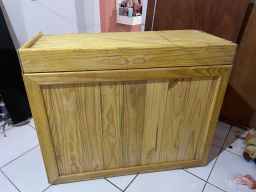 https://img.olx.com.br/thumbs256x256/31/318584515395038.jpg