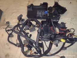 https://img.olx.com.br/thumbs256x256/31/319526853908755.jpg