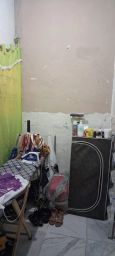 https://img.olx.com.br/thumbs256x256/32/320515646772988.jpg