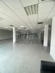 https://img.olx.com.br/thumbs256x256/32/320532521719228.jpg