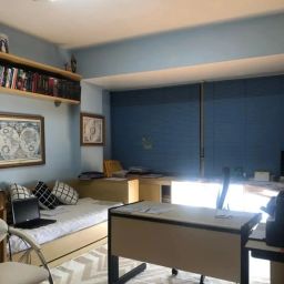 https://img.olx.com.br/thumbs256x256/32/320598525206281.jpg