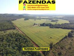 Título do anúncio: Fazenda Porto Nacional em Lavoura