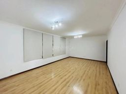 https://img.olx.com.br/thumbs256x256/32/322502752460811.jpg