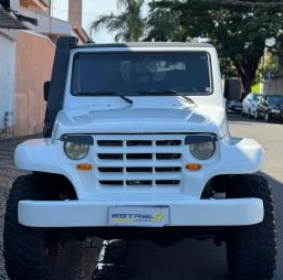 https://img.olx.com.br/thumbs256x256/32/323534361390060.jpg