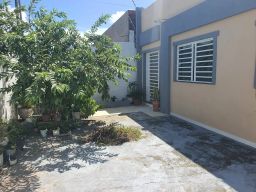 https://img.olx.com.br/thumbs256x256/32/323576883430142.jpg
