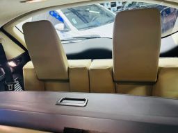 https://img.olx.com.br/thumbs256x256/32/323623775112754.jpg