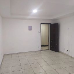 https://img.olx.com.br/thumbs256x256/32/325512034175991.jpg