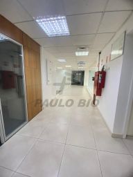 https://img.olx.com.br/thumbs256x256/32/325547167946065.jpg