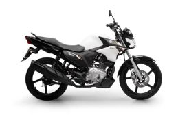 https://img.olx.com.br/thumbs256x256/32/326423599118483.jpg