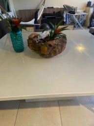 https://img.olx.com.br/thumbs256x256/32/326434714542326.jpg
