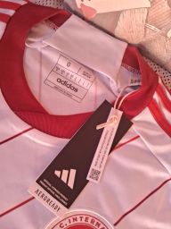 https://img.olx.com.br/thumbs256x256/32/326444751710536.jpg