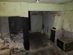 https://img.olx.com.br/thumbs256x256/32/326522639043205.jpg