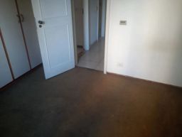 https://img.olx.com.br/thumbs256x256/32/326536169343680.jpg