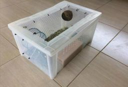 Gaiola(Terr�rio) para Hamster/Esquilo da Mong�lia ou Gerbil