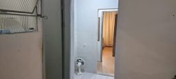 https://img.olx.com.br/thumbs256x256/32/327520524685643.jpg