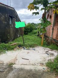 https://img.olx.com.br/thumbs256x256/32/327535158636495.jpg