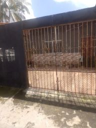 https://img.olx.com.br/thumbs256x256/32/327582625291729.jpg