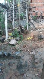 https://img.olx.com.br/thumbs256x256/32/328514399064775.jpg